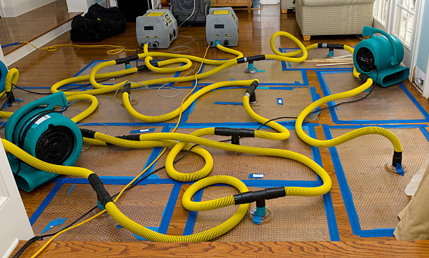 Professional Crawl Space Water Removal technician working in Silver Point, TN
